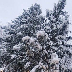 Meet your Posher, Stanleygeorgi